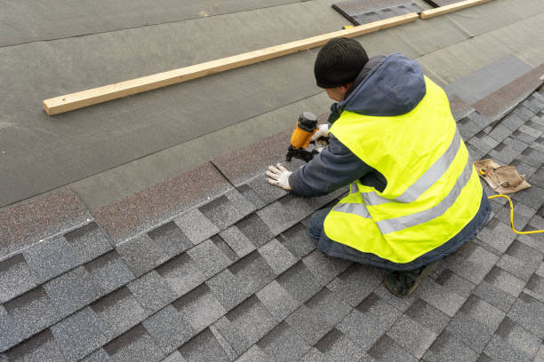 Best Solar Panel Roofing Installation  in Alliae, NC
