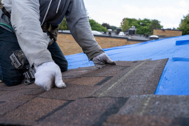 Best Steel Roofing  in Alliae, NC